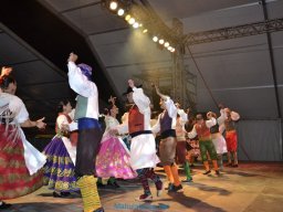 Festival de Folkore en Mula